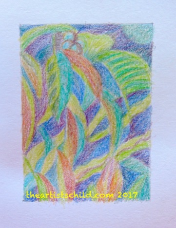 Walnut Tree, Colour Pencil Sketch
